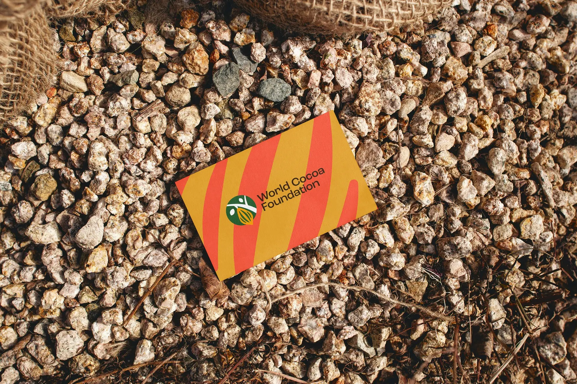 World Cocoa Foundation — visuel 1 sur 4