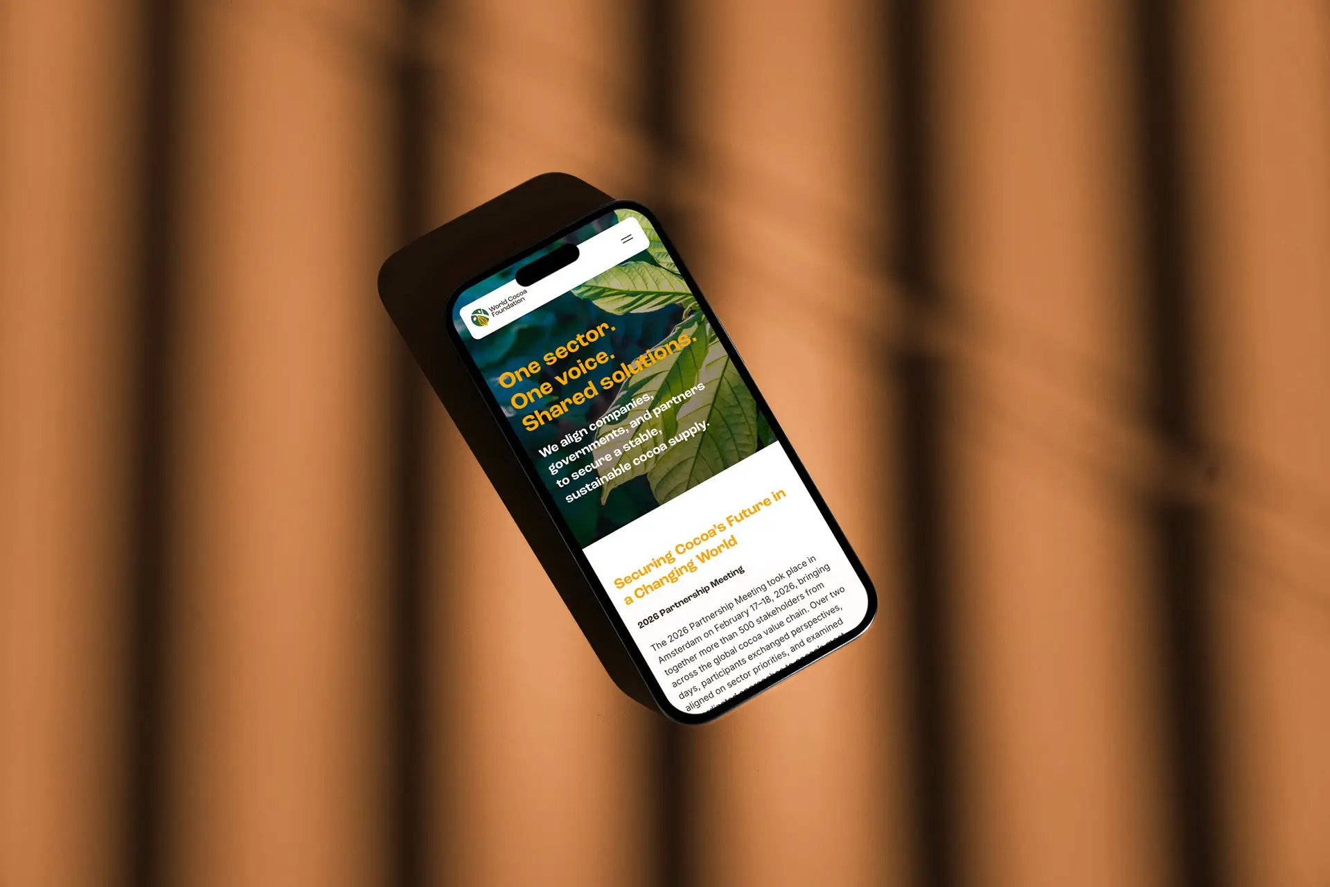 World Cocoa Foundation — visuel 2 sur 4